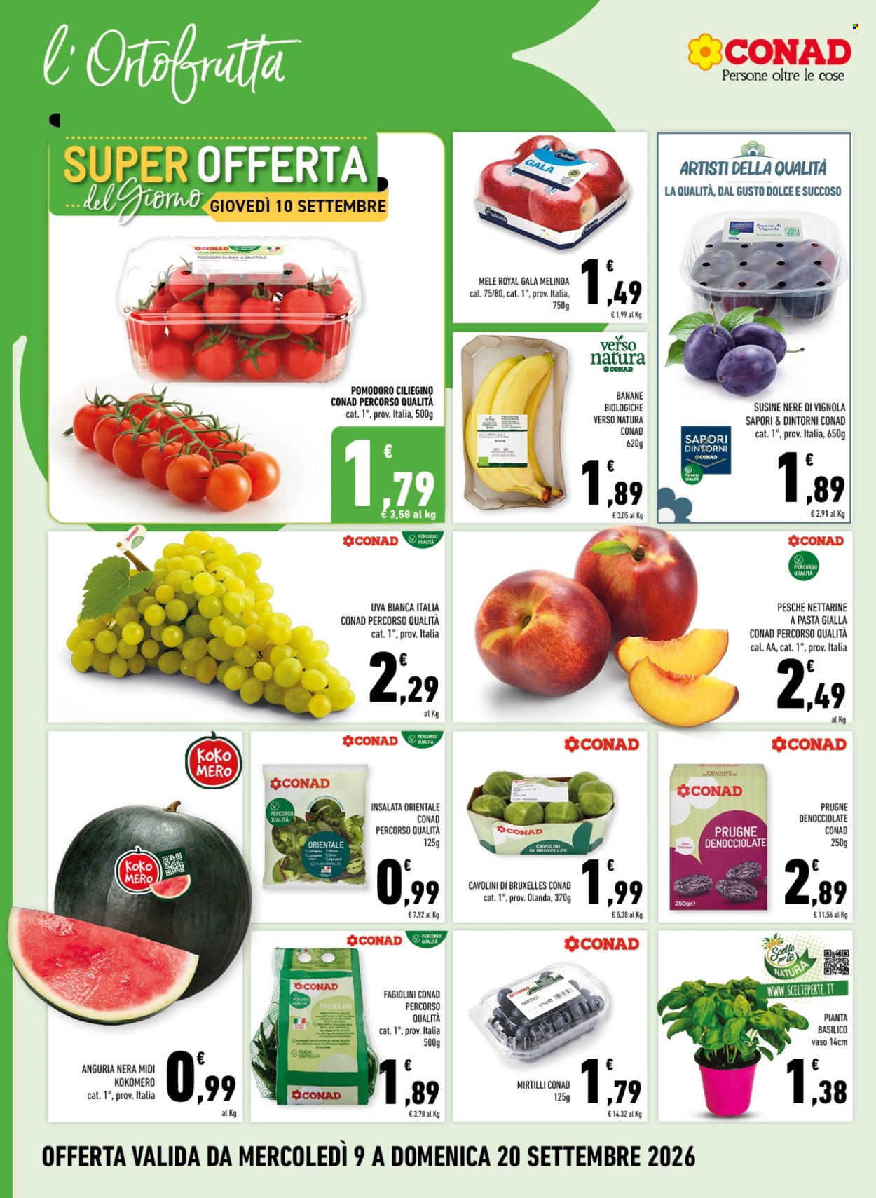 Volantino Margherita Conad - 9/9/2026 - 20/9/2026. Pagina 2
