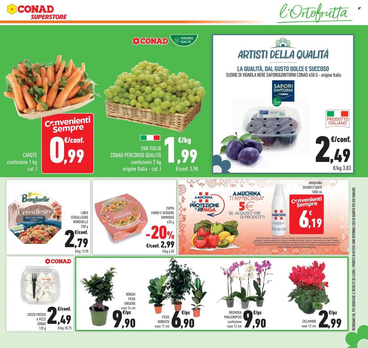 Volantino Conad Superstore - 9/9/2026 - 22/9/2026. Pagina 27