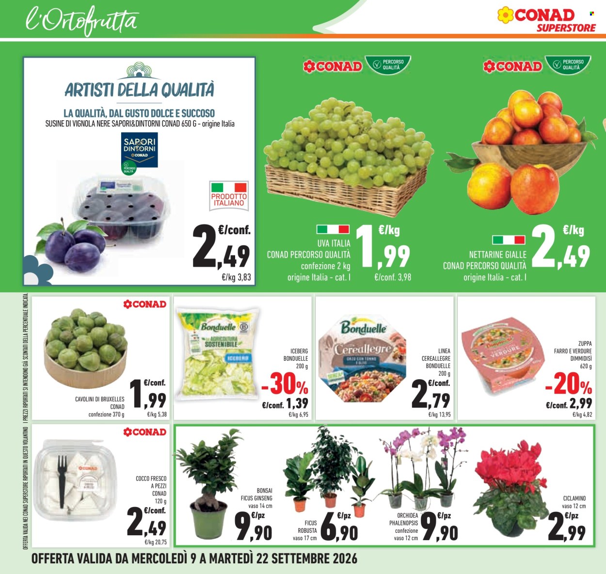 Volantino Conad Superstore - 9/9/2026 - 22/9/2026. Pagina 28