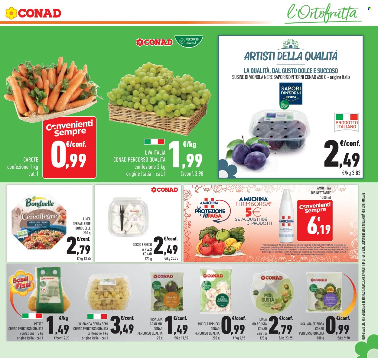 Volantino Conad - 9/9/2026 - 22/9/2026. Pagina 27