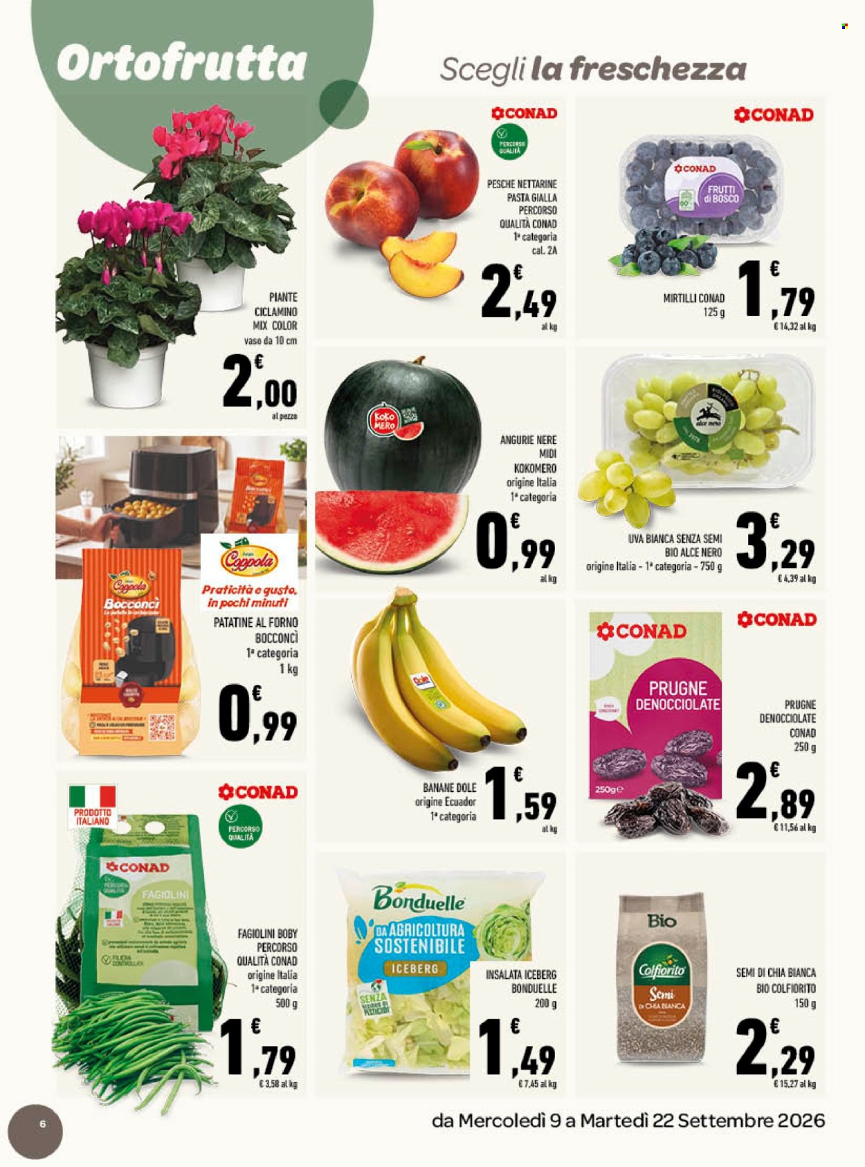 Volantino TuDay Conad - 9/9/2026 - 22/9/2026. Pagina 6