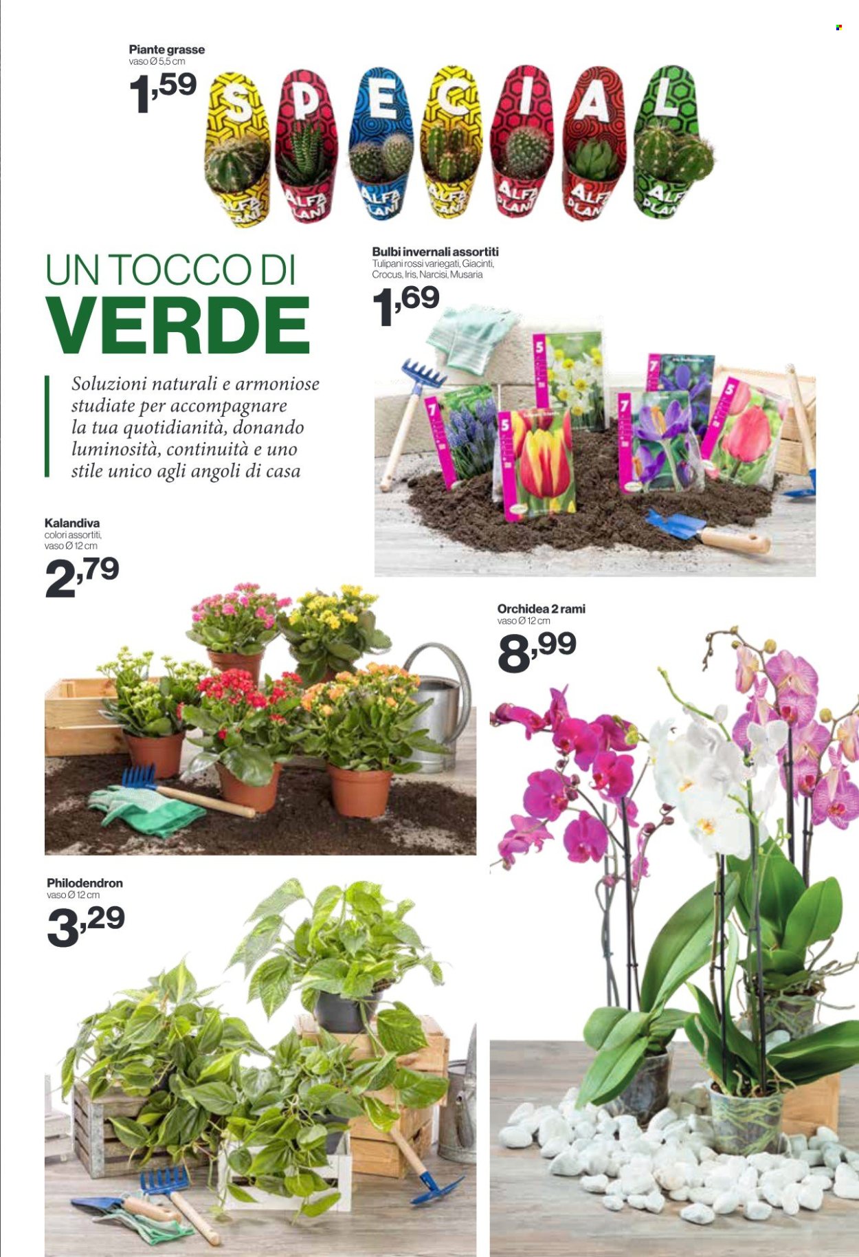 Volantino iN's Mercato - 9/9/2026 - 20/9/2026. Pagina 13