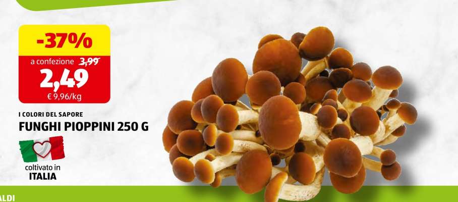 FUNGHI PIOPPINI 250 G