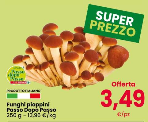 Funghi pioppini Passo Dopo Passo