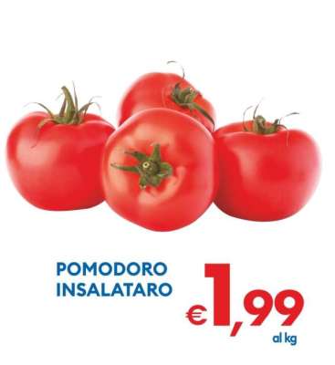 POMODORO INSALATARO