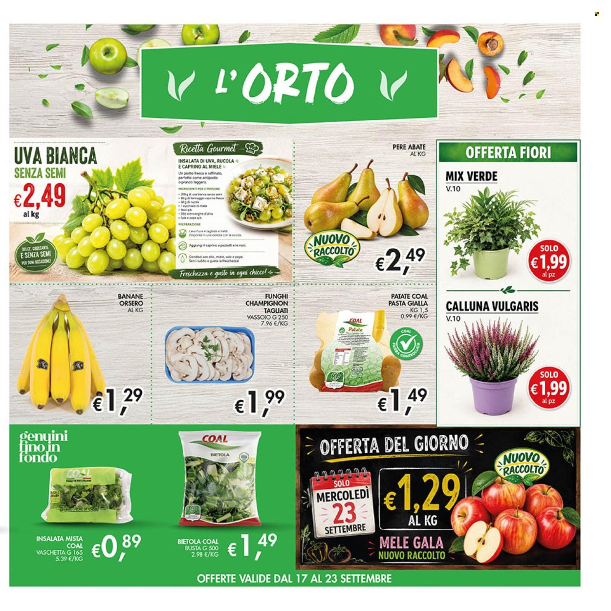 Volantino COAL - 10/9/2026 - 23/9/2026. Pagina 7