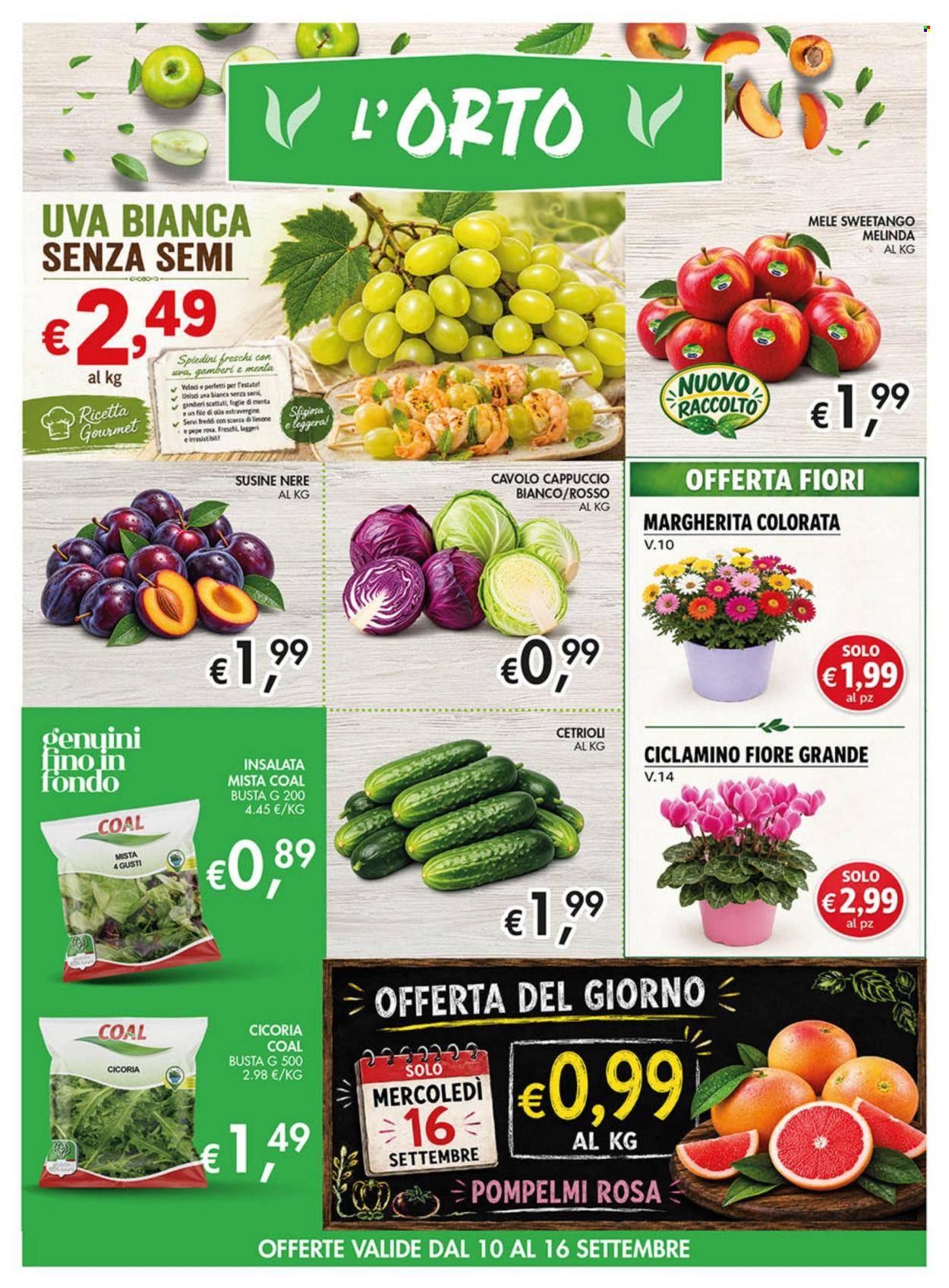 Volantino COAL - 10/9/2026 - 23/9/2026. Pagina 6