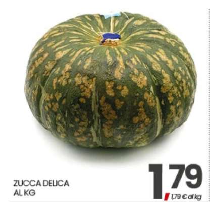 Zucca Delica