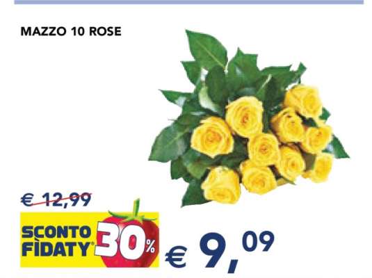 MAZZO 10 ROSE