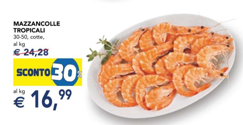 MAZZANCOLLE TROPICALI