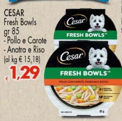 CESAR FRESH BOWLS