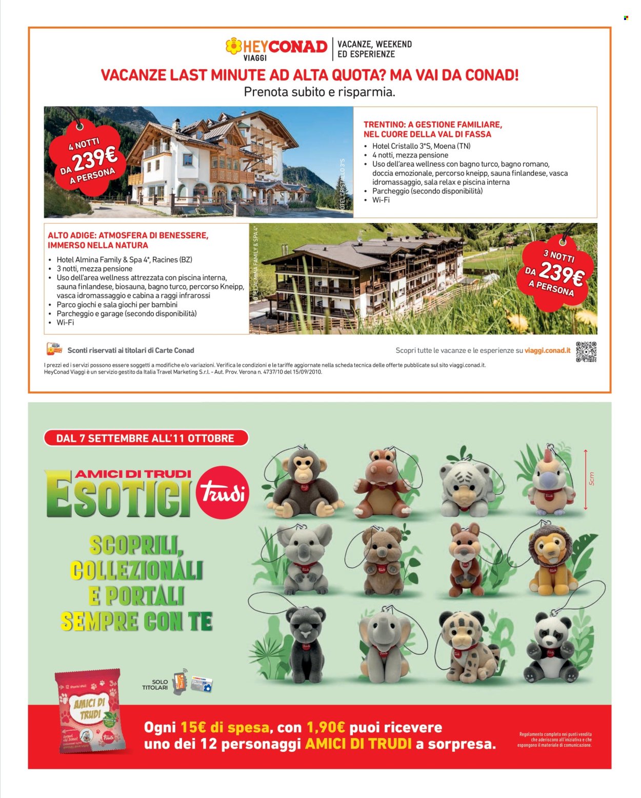 Volantino Conad City - 11/9/2026 - 17/9/2026. Pagina 13