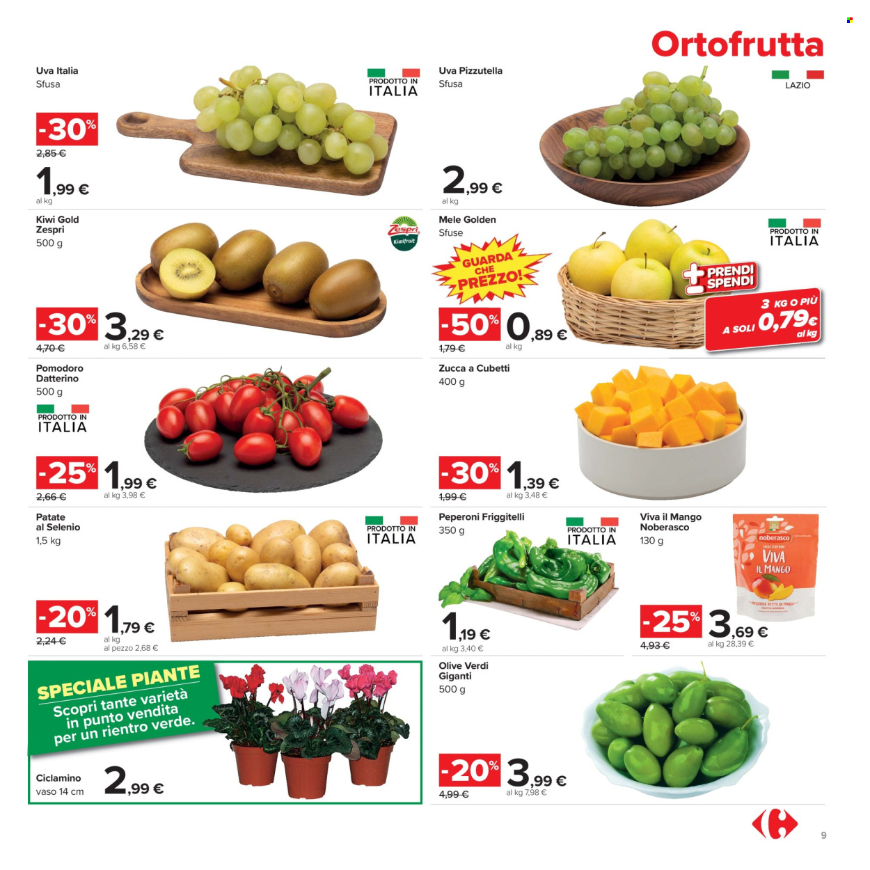 Volantino Carrefour - 15/9/2026 - 25/9/2026. Pagina 9