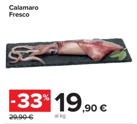 CALAMARO FRESCO