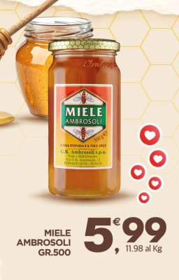 MIELE AMBROSOLI GR.500