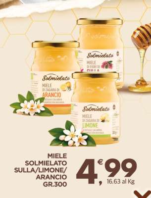 MIELE SOLMIELATO SULLA/LIMONE/ARANCIO GR.300