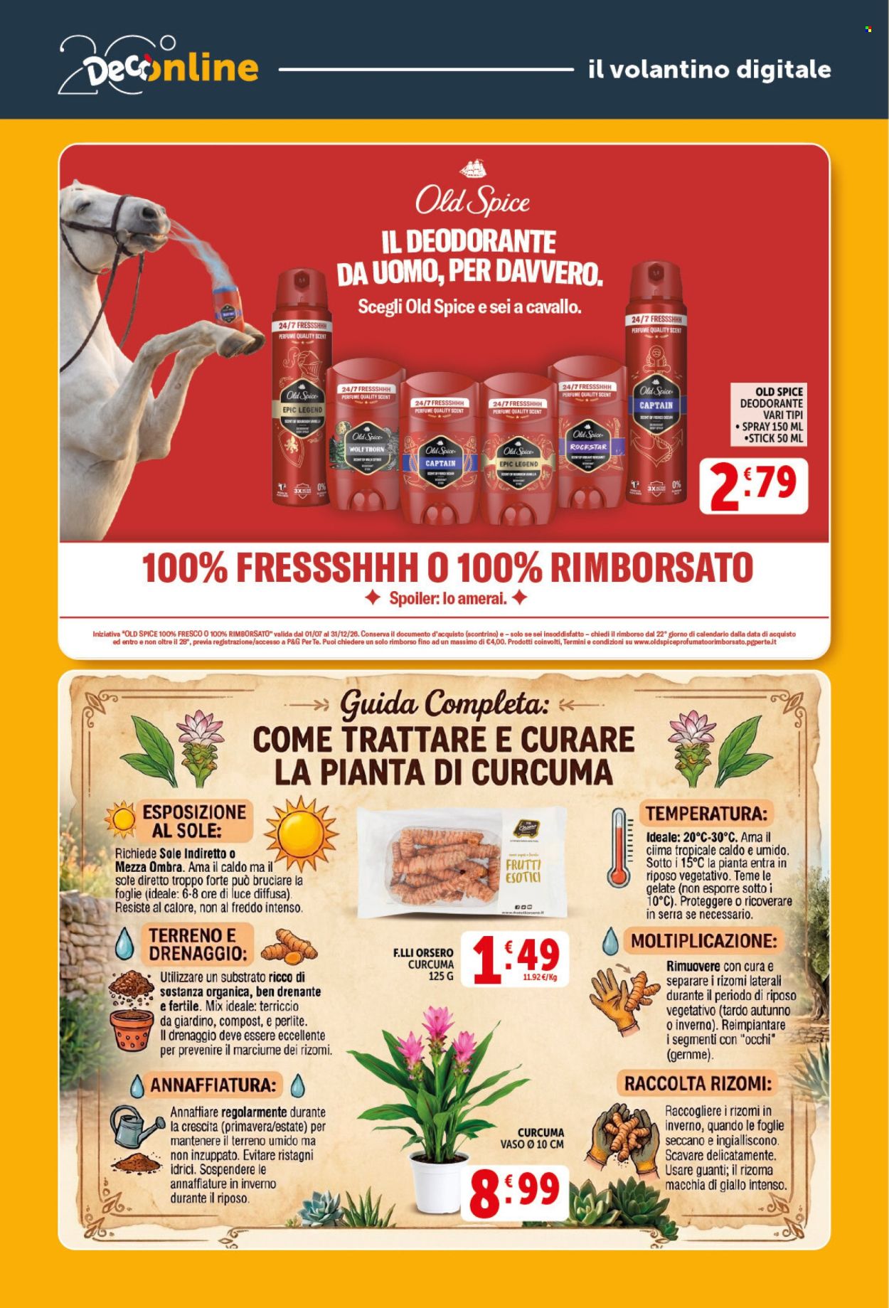 Volantino Deco - 11/9/2026 - 21/9/2026. Pagina 40