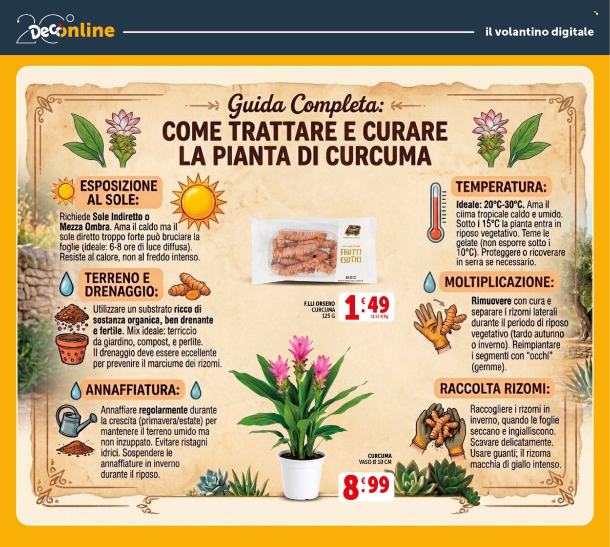 Volantino Deco - 11/9/2026 - 21/9/2026. Pagina 42
