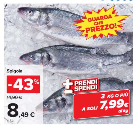 Spigola