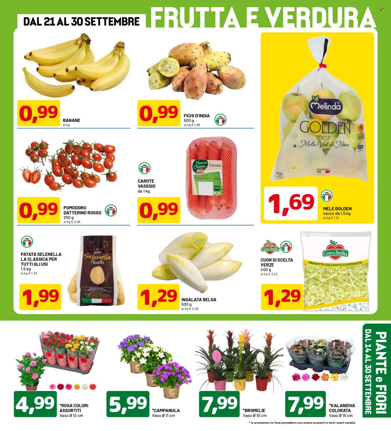 Volantino Dpiù - 14/9/2026 - 30/9/2026. Pagina 3