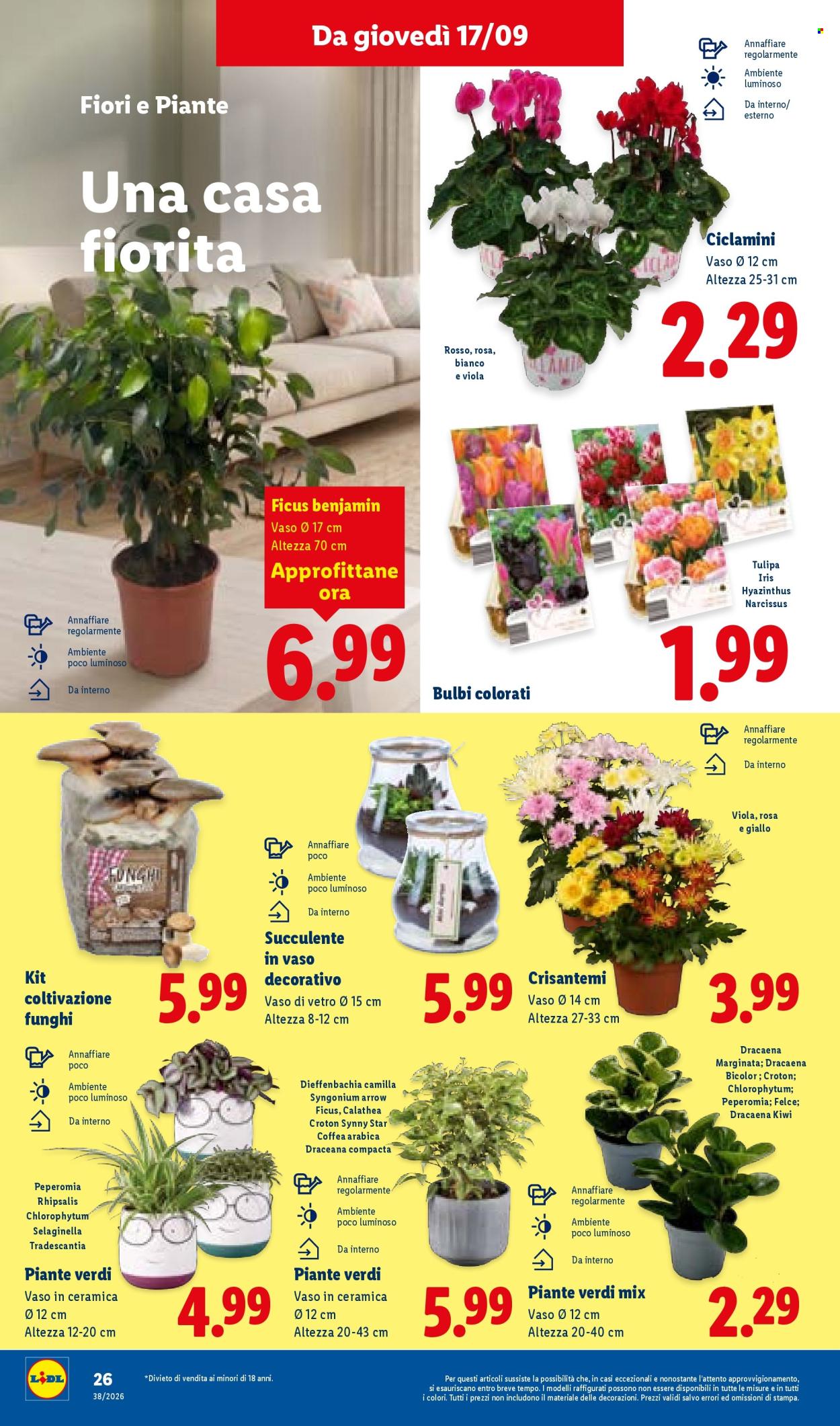 Volantino Lidl - 17/9/2026 - 23/9/2026. Pagina 32