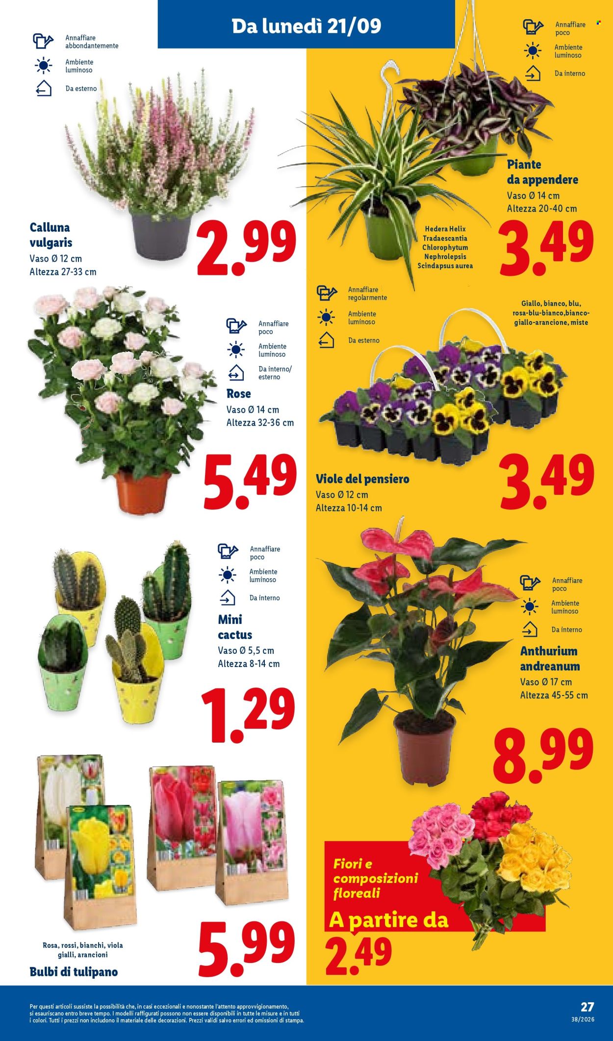 Volantino Lidl - 17/9/2026 - 23/9/2026. Pagina 33