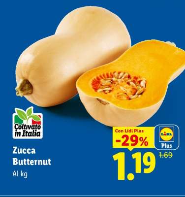 Zucca Butternut