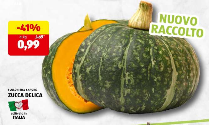 Zucca Delica