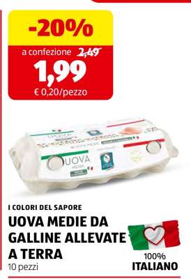 UOVA MEDIE DA GALLINE ALLEVATE A TERRA