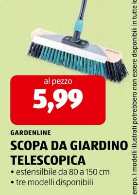 SCOPA DA GIARDINO TELESCOPICA