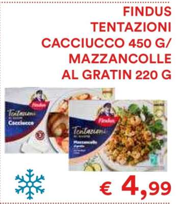 FINDUS TENTAZIONI CACCIUCCO 450 G/ MAZZANCOLLE AL GRATIN 220 G