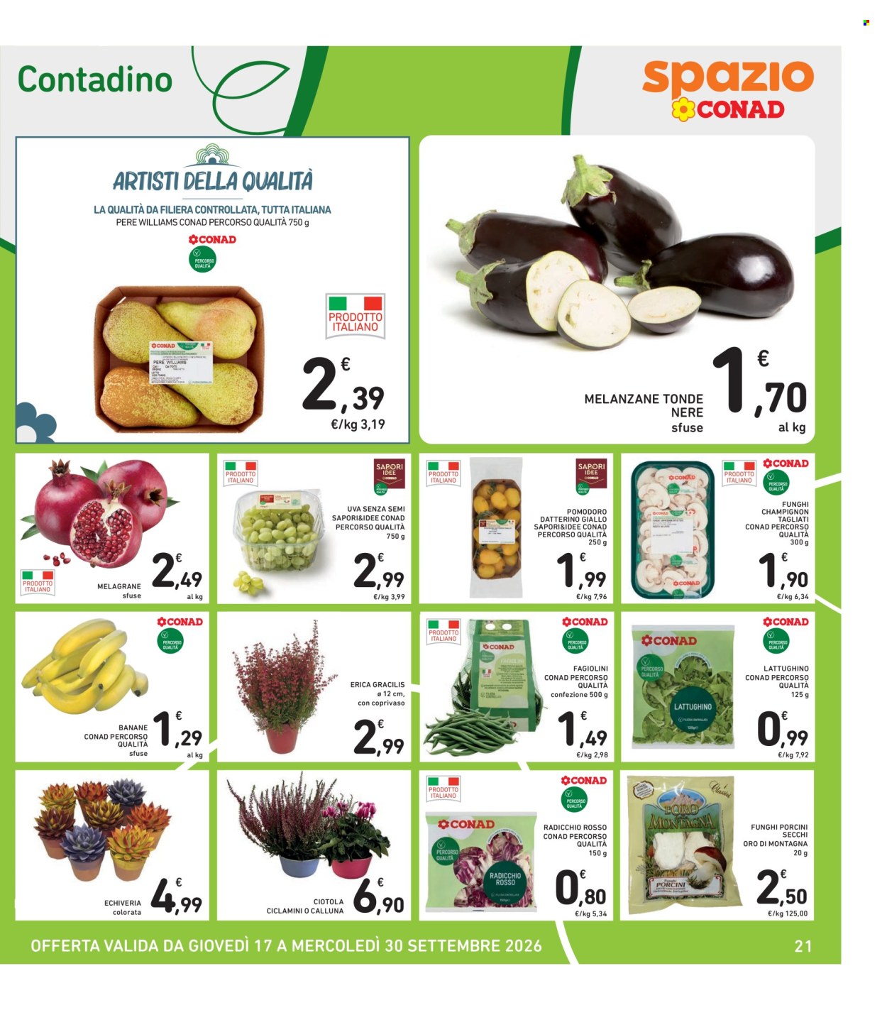 Volantino Spazio Conad - 17/9/2026 - 30/9/2026. Pagina 21