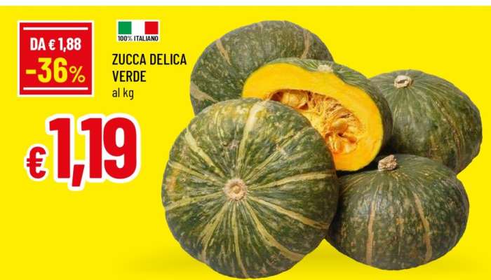 ZUCCA DELICA VERDE
