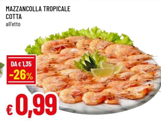 Mazzancolla Tropicale Cotta
