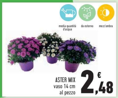 ASTER MIX