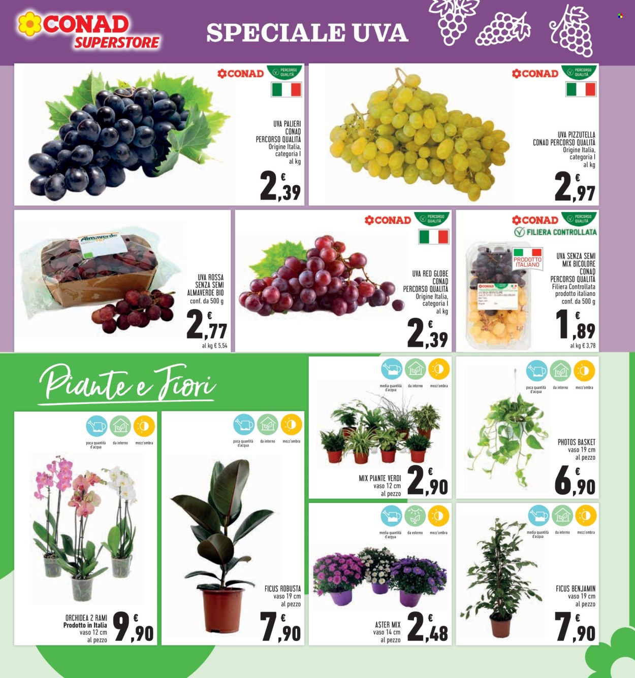 Volantino Conad - 23/9/2026 - 6/10/2026. Pagina 9