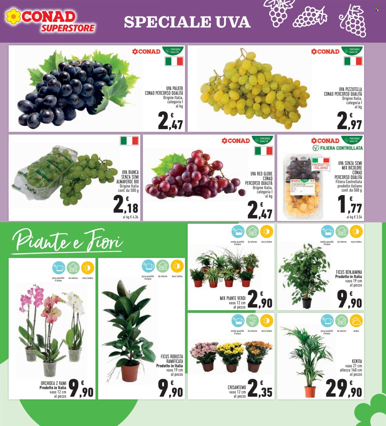 Volantino Conad - 24/9/2026 - 7/10/2026. Pagina 7