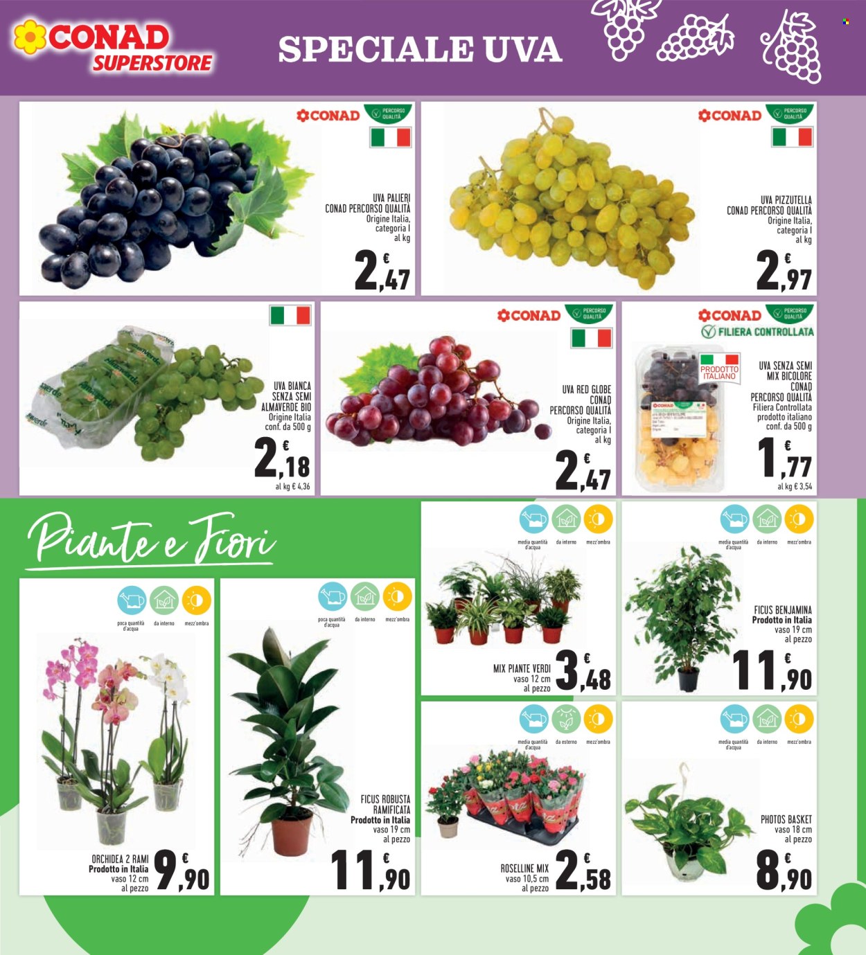 Volantino Conad - 24/9/2026 - 7/10/2026. Pagina 11