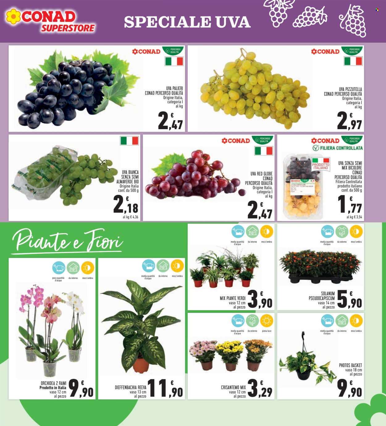 Volantino Conad - 24/9/2026 - 7/10/2026. Pagina 7