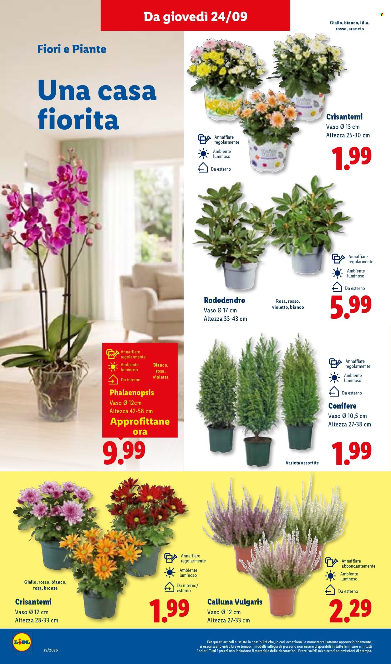 Volantino Lidl - 24/9/2026 - 30/9/2026. Pagina 42
