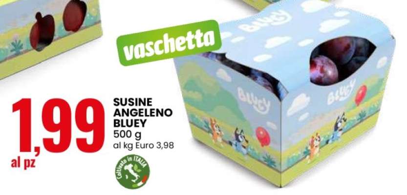 SUSINE ANGELENO BLUEY