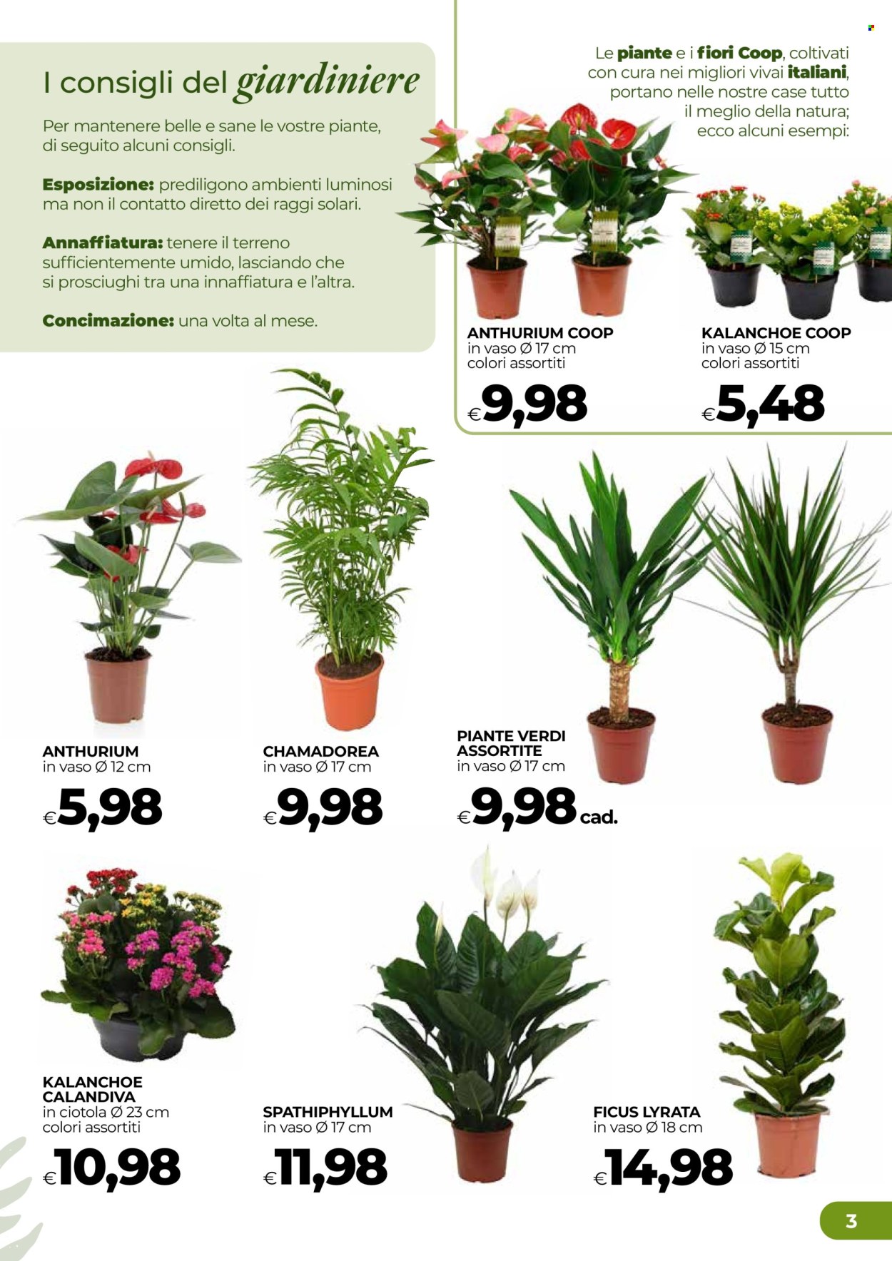 Volantino Coop - 17/9/2026 - 23/9/2026. Pagina 3