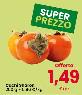 Cachi Sharon
