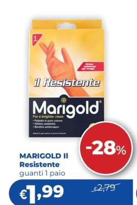 MARIGOLD Il Resistente