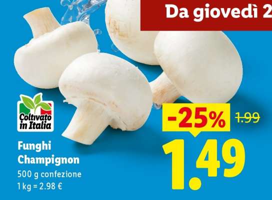 Funghi Champignon