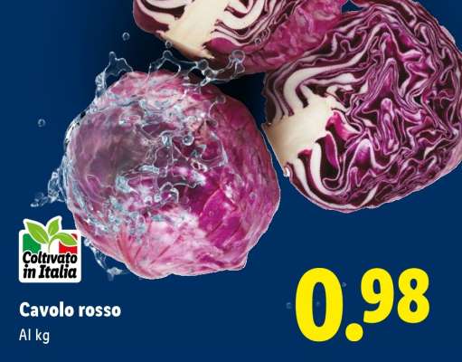 Cavolo rosso