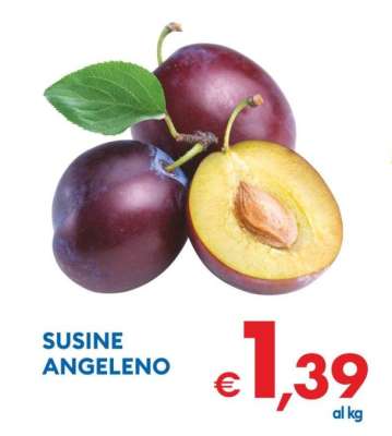 Susine Angeleno