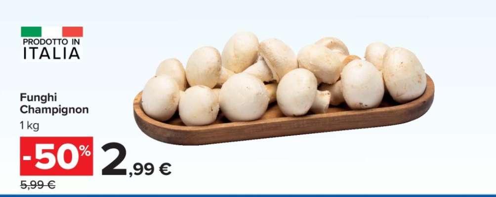 Funghi Champignon