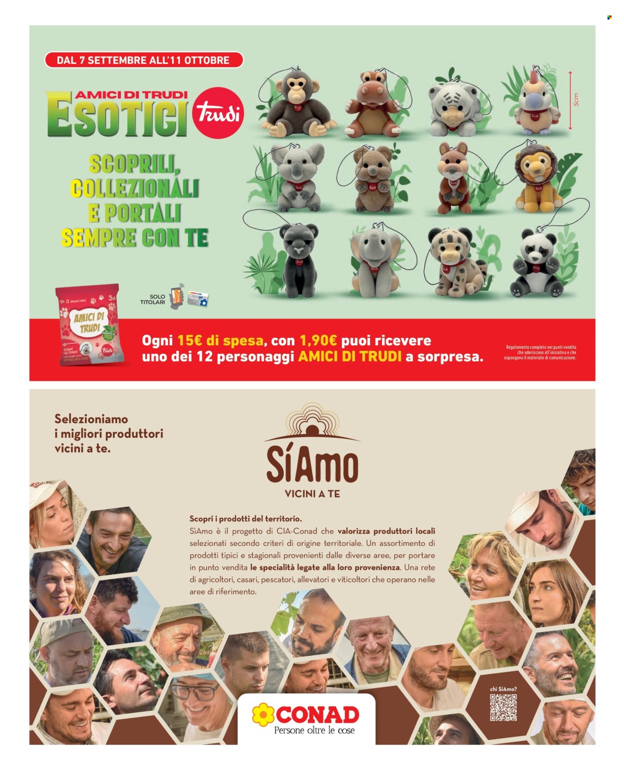 Volantino Conad City - 25/9/2026 - 1/10/2026. Pagina 13