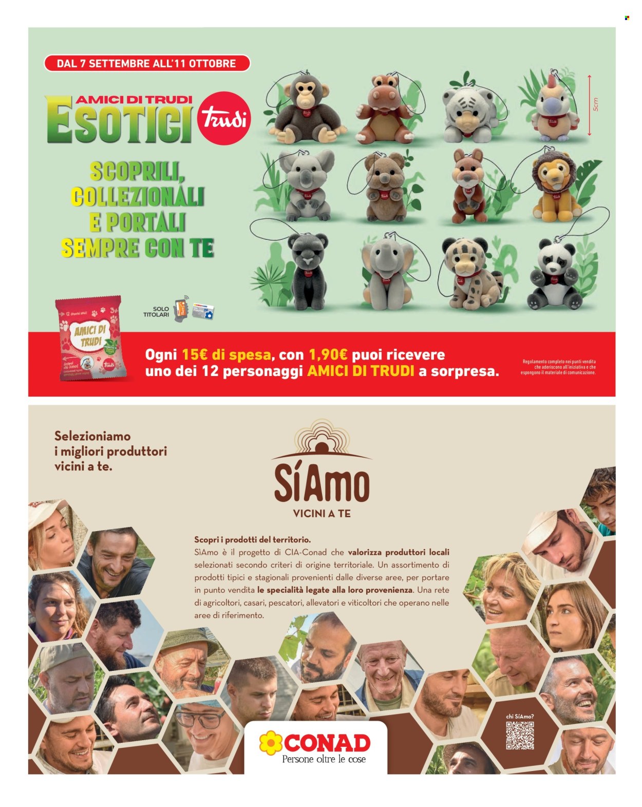 Volantino Conad City - 25/9/2026 - 1/10/2026. Pagina 13